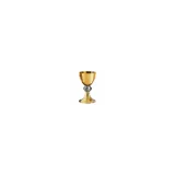 Logo de WikiMissa